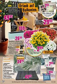 Hornbach Prospekt Seite 7