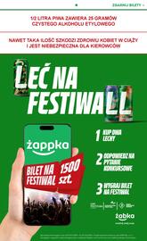 Żabka gazetka Strona 13