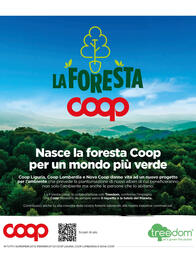 Volantino Ipercoop settimana 21 Pagina 37