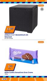Action Prospekt woche 19 Seite 16