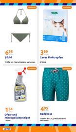 Action Prospekt woche 19 Seite 21