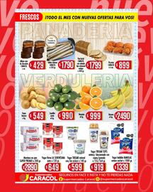 Catálogo Supermercados Caracol Página 3