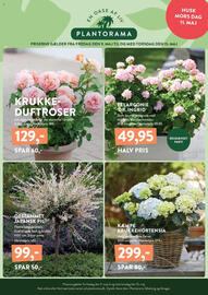 Plantorama tilbudsavis uge 19 Side 1