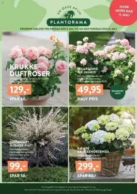 Plantorama tilbudsavis (gælder indtil 15-05)