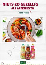 Louis Delhaize folder Pagina 20