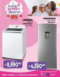 Catálogo Casa Ley Página 15