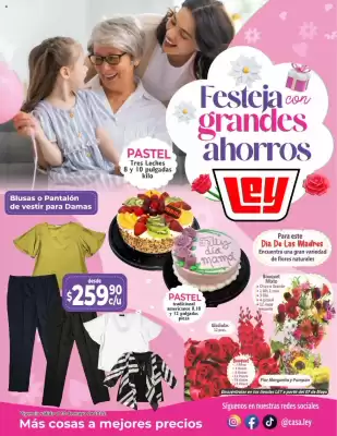Catálogo Casa Ley (válido hasta 11-05)