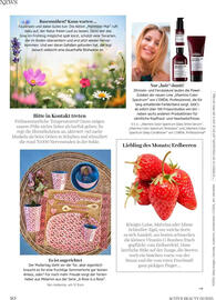 dm Flugblatt Seite 10