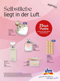 dm Flugblatt Seite 108