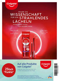 dm Flugblatt Seite 11