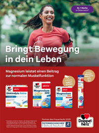 dm Flugblatt Seite 31