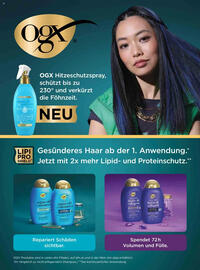 dm Flugblatt Seite 61