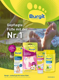 dm Flugblatt Seite 71