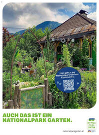 dm Flugblatt Seite 96