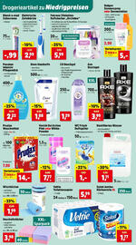 Thomas Philipps Flugblatt woche 20 Seite 14