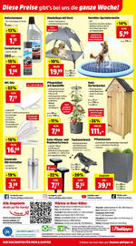 Thomas Philipps Flugblatt woche 20 Seite 16