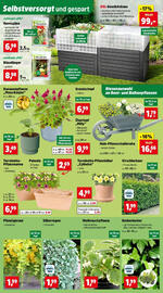 Thomas Philipps Flugblatt woche 20 Seite 2