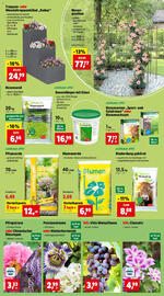 Thomas Philipps Flugblatt woche 20 Seite 3