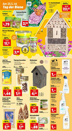 Thomas Philipps Flugblatt woche 20 Seite 5