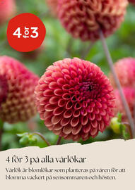 Plantagen reklamblad Sida 4