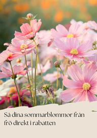 Plantagen reklamblad Sida 8