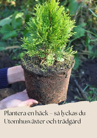 Plantagen reklamblad Sida 9