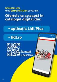 Catalog Lidl Pagină 10