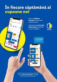 Catalog Lidl Pagină 7
