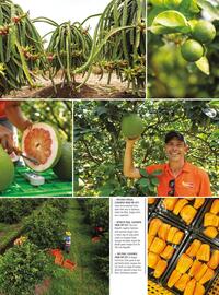 Spinneys catalogue week 19 Page 43