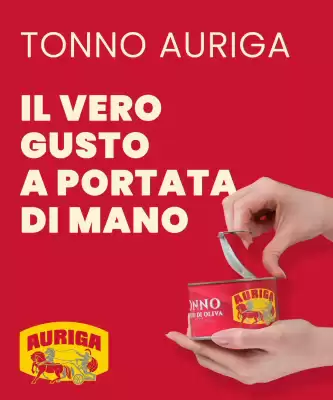 flyer-cover