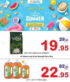 Ajman Market catalogue week 19 Page 10