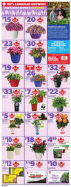 Zehrs Markets flyer week 19 Page 11