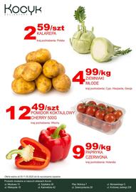Delikatesy Kocyk gazetka tydzień 19 Strona 1
