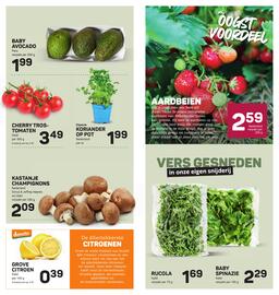 Ekoplaza folder Pagina 8