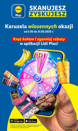 Lidl gazetka Strona 29