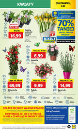 Lidl gazetka Strona 49
