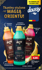 Lidl gazetka Strona 55