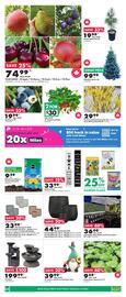 Kent flyer week 19 Page 2