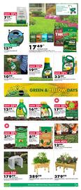 Kent flyer week 19 Page 5