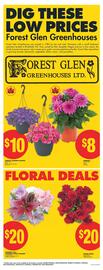 No Frills flyer week 19 Page 6