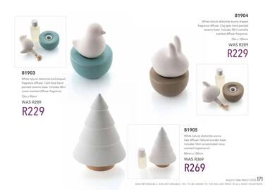 Honey Fashion Accessories catalogue Page 173