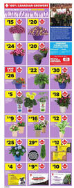 Atlantic Superstore flyer week 19 Page 6