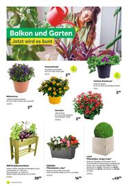 BayWa Flugblatt Seite 2