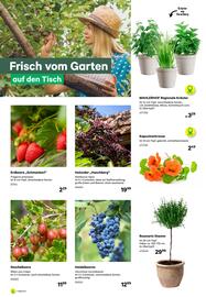 BayWa Flugblatt Seite 4
