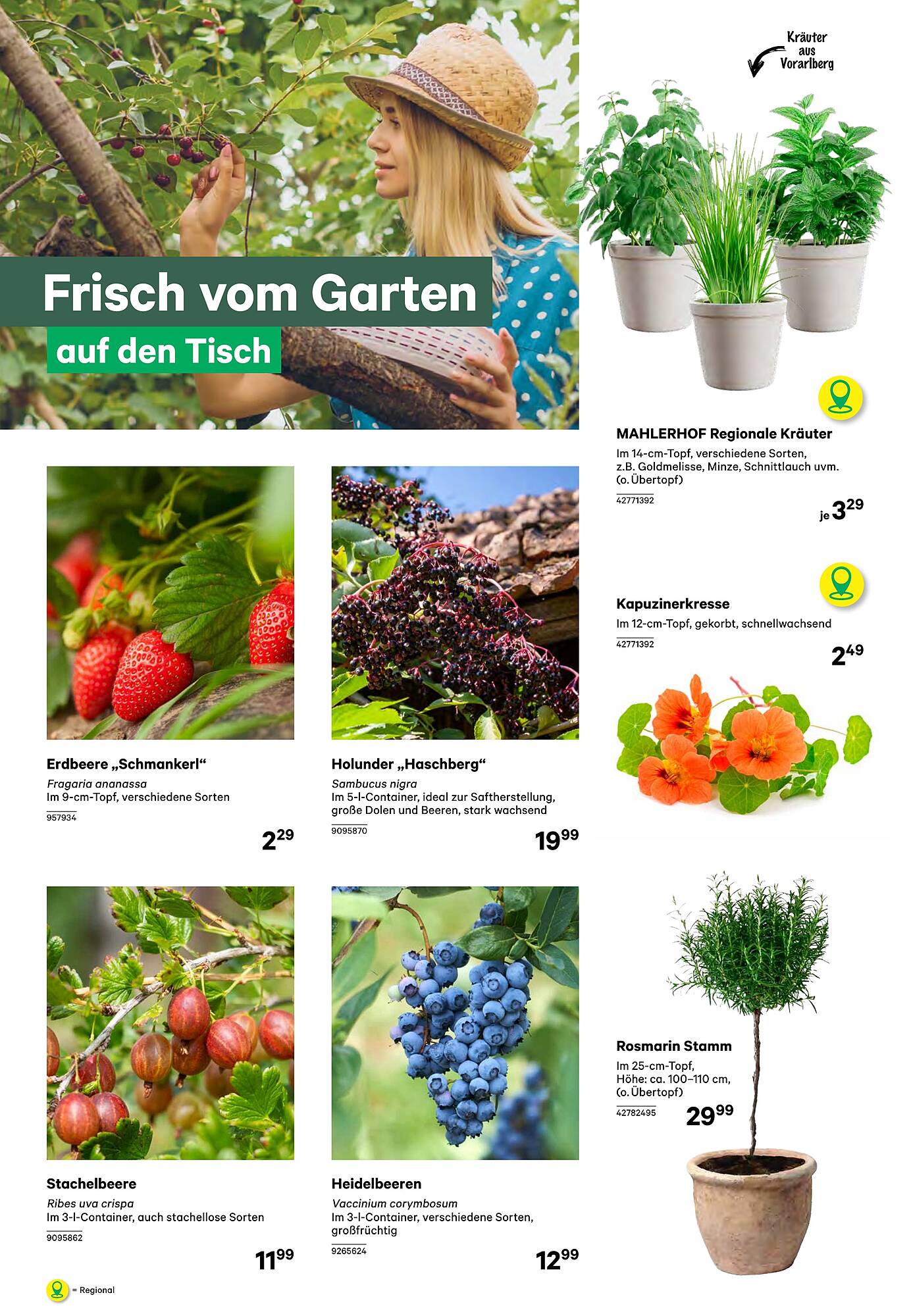 BayWa Flugblatt Seite 4