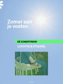 Ziengs folder Pagina 3