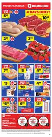 Dominion flyer Page 2