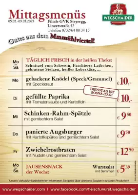 Wegschaider Flugblatt (gültig bis 10-05)