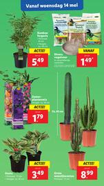 Lidl folder week 20 Pagina 18