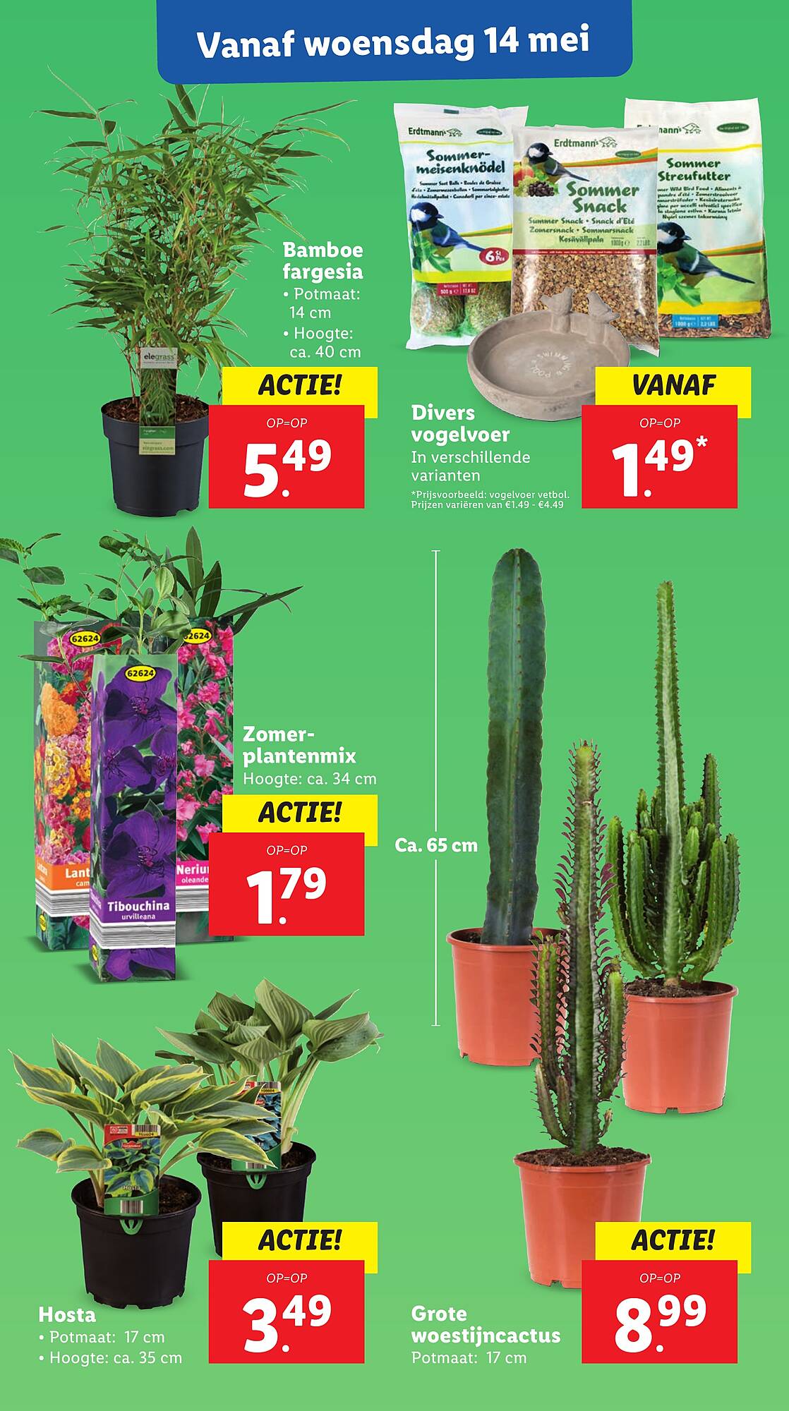 Lidl folder week 20 Pagina 18